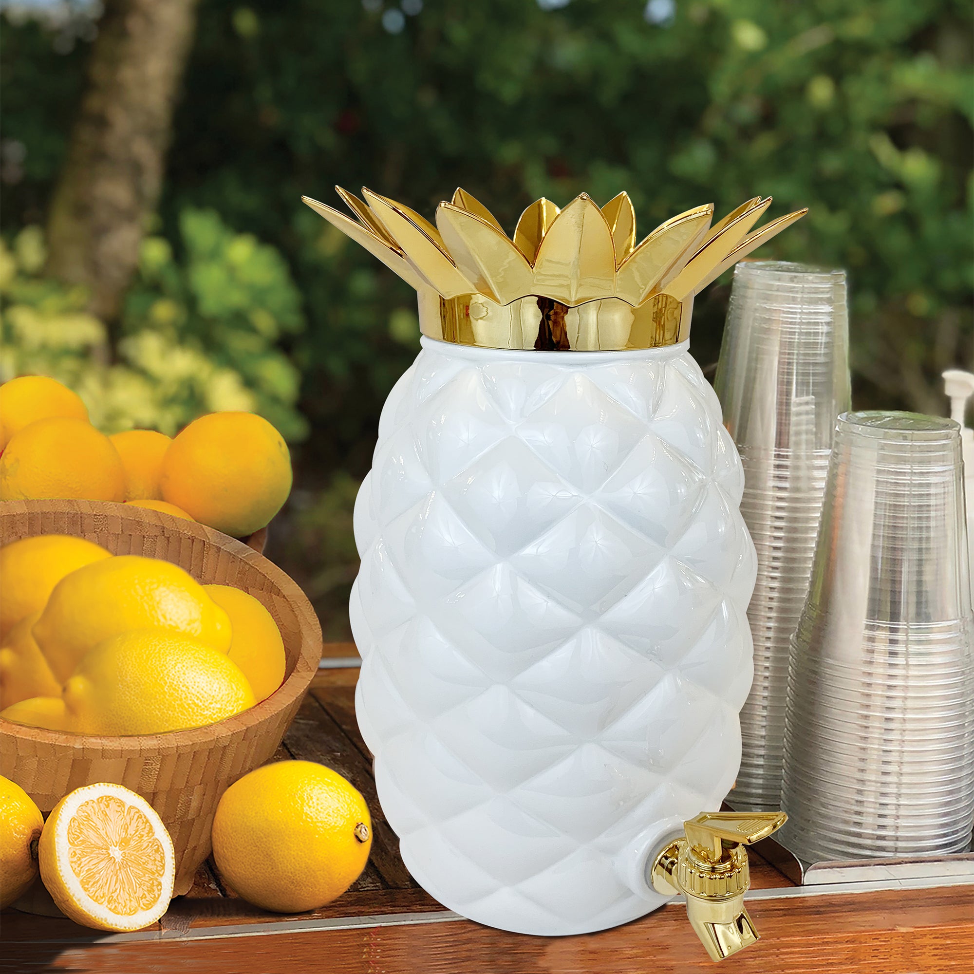 Plastic Pineapple Drink Dispenser Party Pack