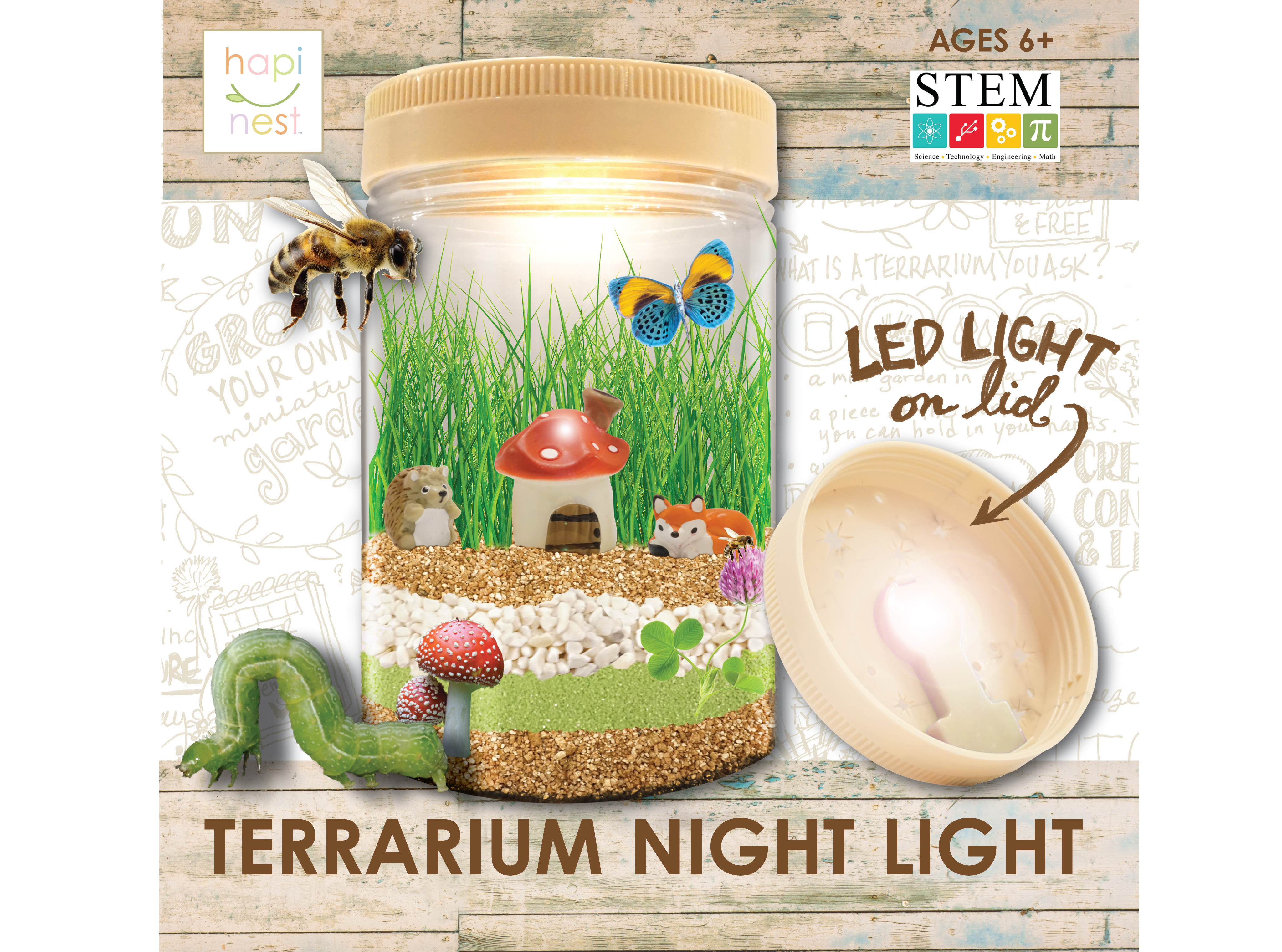Terrarium Night Light